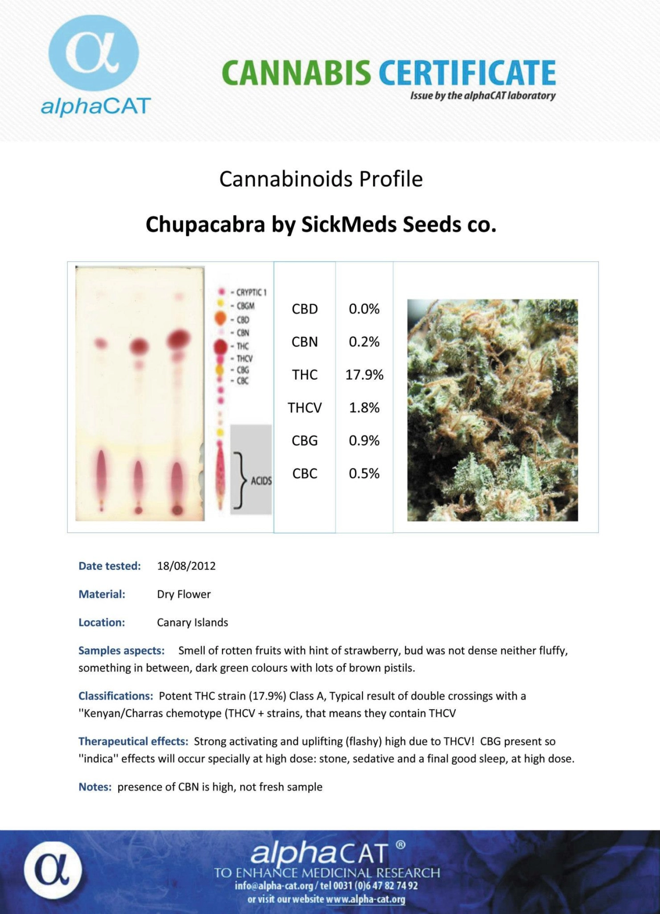 Chupacabra – SickMeds Seeds – Regularne