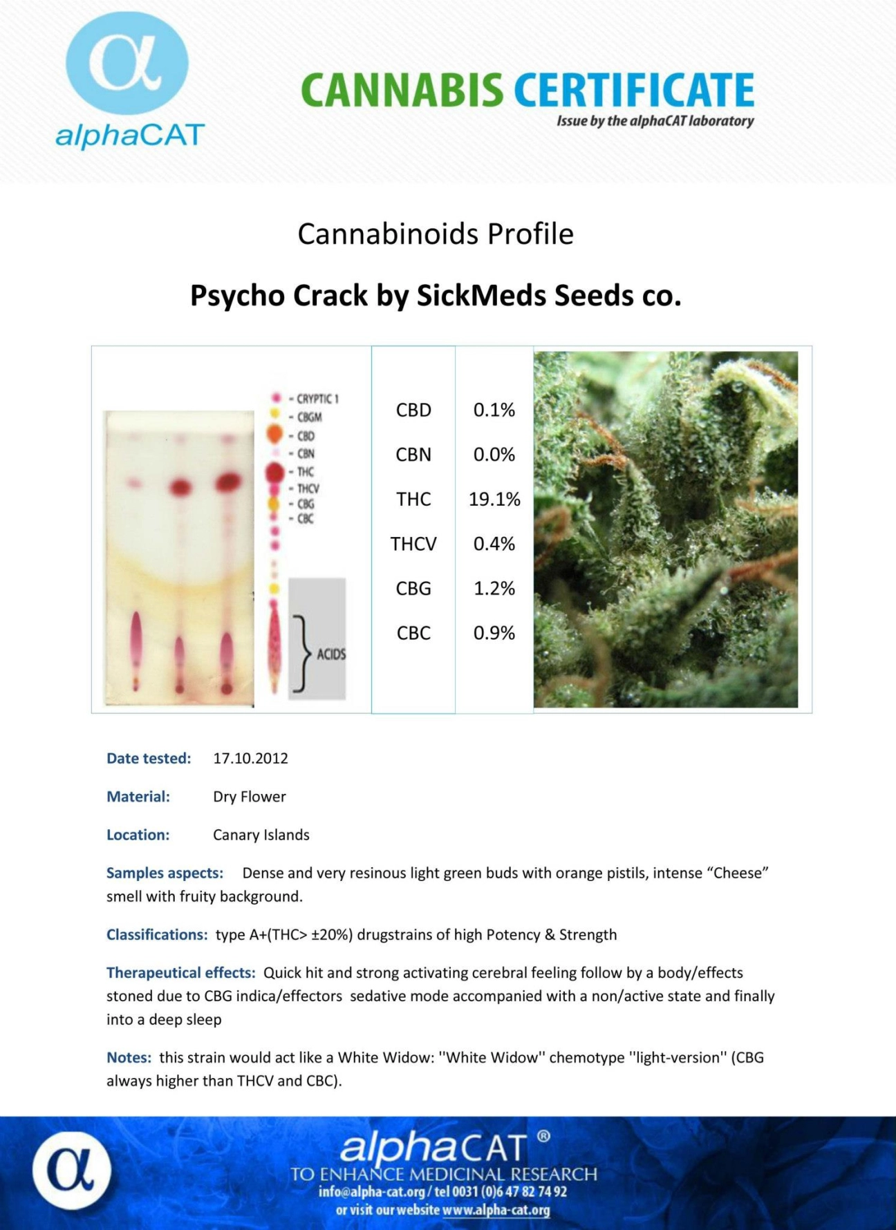 Psycho Crack – SickMeds Seeds – Feminizowane