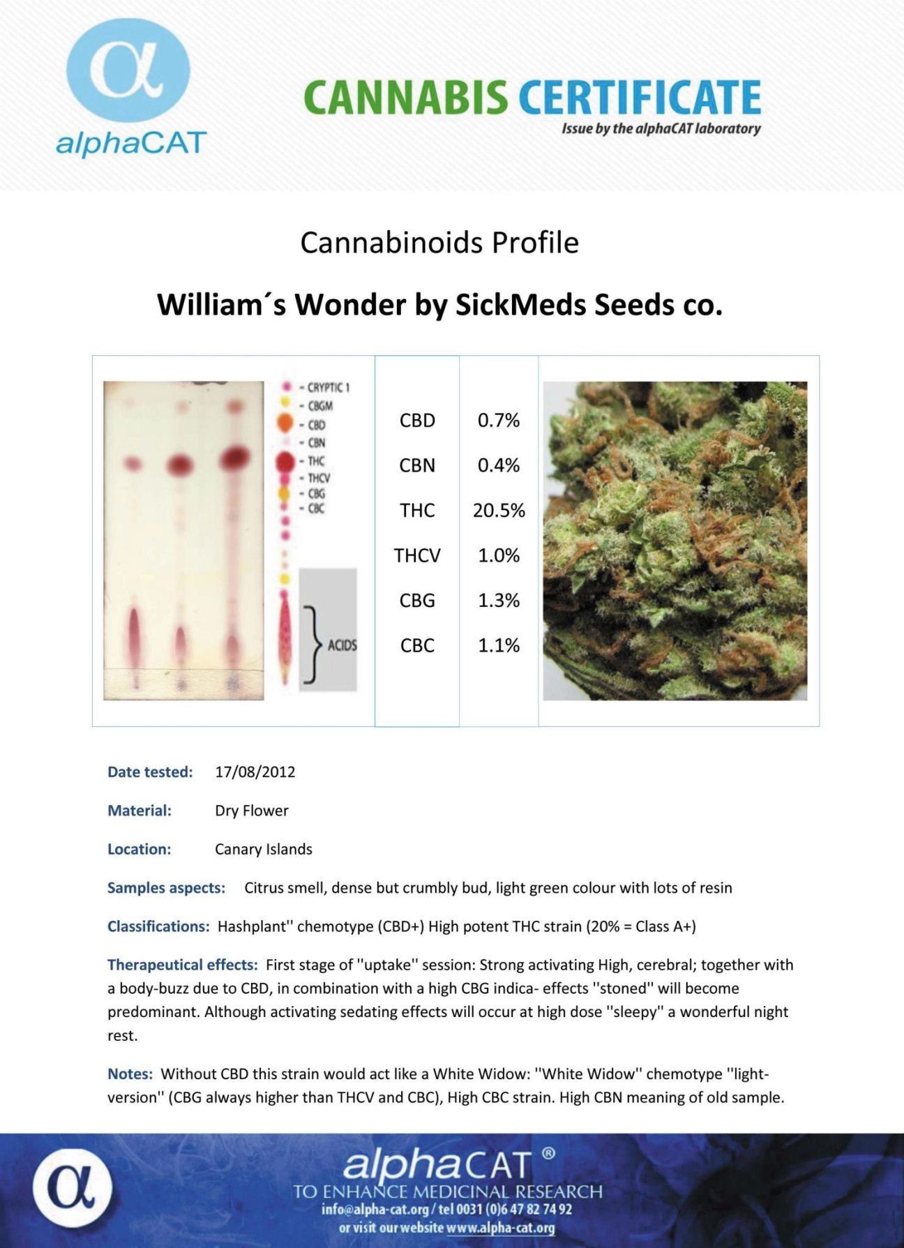 William's Wonder – SickMeds Seeds – Regularne