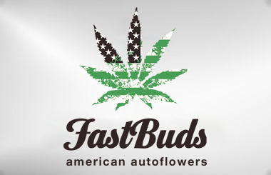 FastBuds