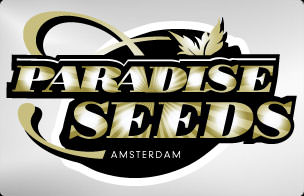 Seed Stockers